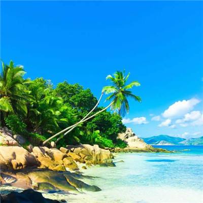 4949澳门免费资料大全手机app下载