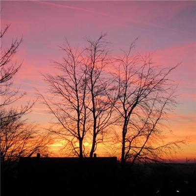 星空体育app下载手机版