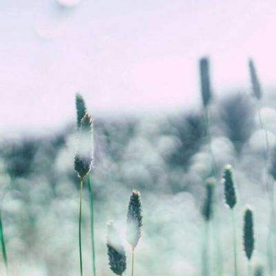 AG官方平台下载截图